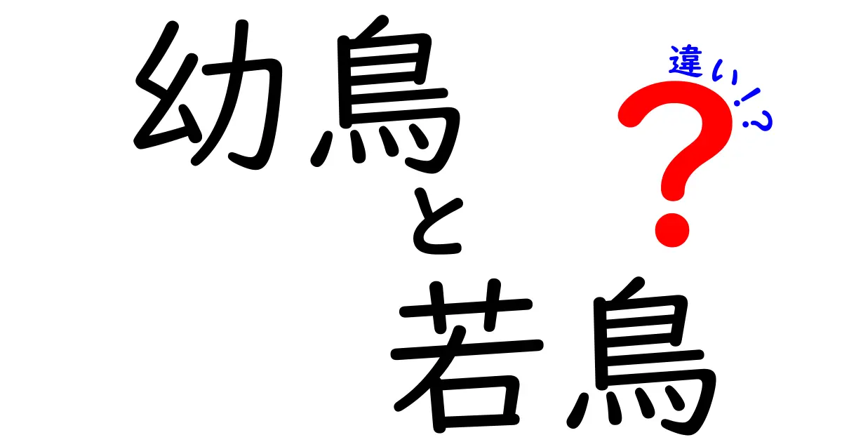幼鳥と若鳥の違いを徹底解説 見分け方と生態のポイント