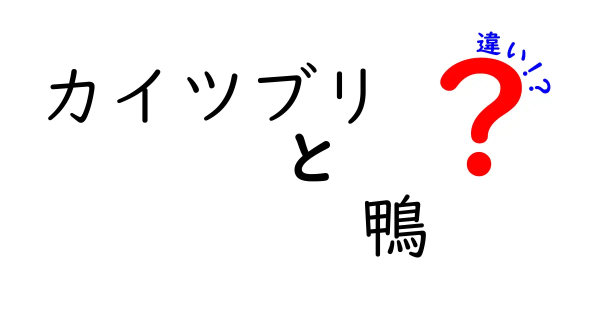 カイツブリと鴨の違いを徹底解説!よくある見分け方と生態の比較