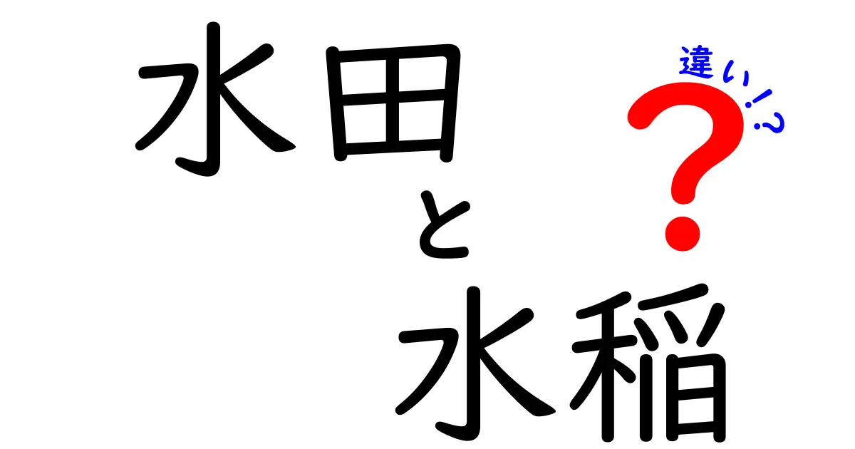 水田と水稲の違いを徹底解説!意味と用途を中学生にも分かるやさしい解説