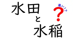 水田と水稲の違いを徹底解説!意味と用途を中学生にも分かるやさしい解説