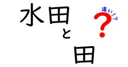 水田と田の違いを徹底解説!意味から使い分けまで、中学生にも分かる基礎ガイド