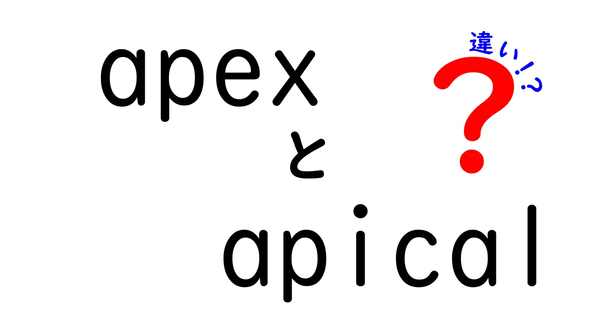 apexとapicalの違いを完全ガイド|意味・用法・使い分けを徹底解説