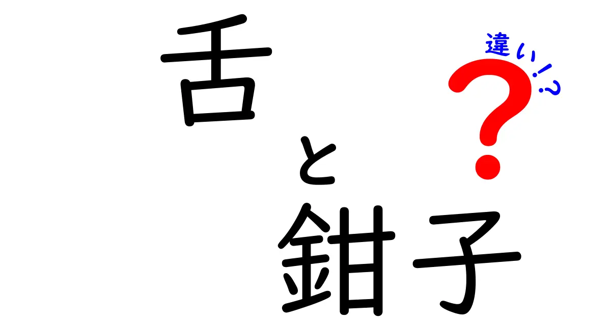 舌と鉗子の違いをわかりやすく解説！中学生にも伝わるポイントと使い方の差