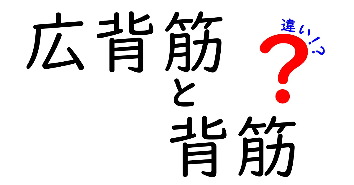 広背筋と背筋の違いを徹底解説！中学生にも分かる図解付きガイド