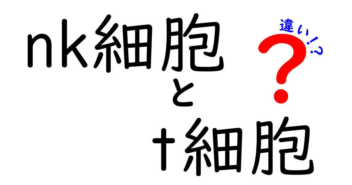nk細胞とt細胞の違いをひと目で理解！免疫の初心者にもやさしい図解