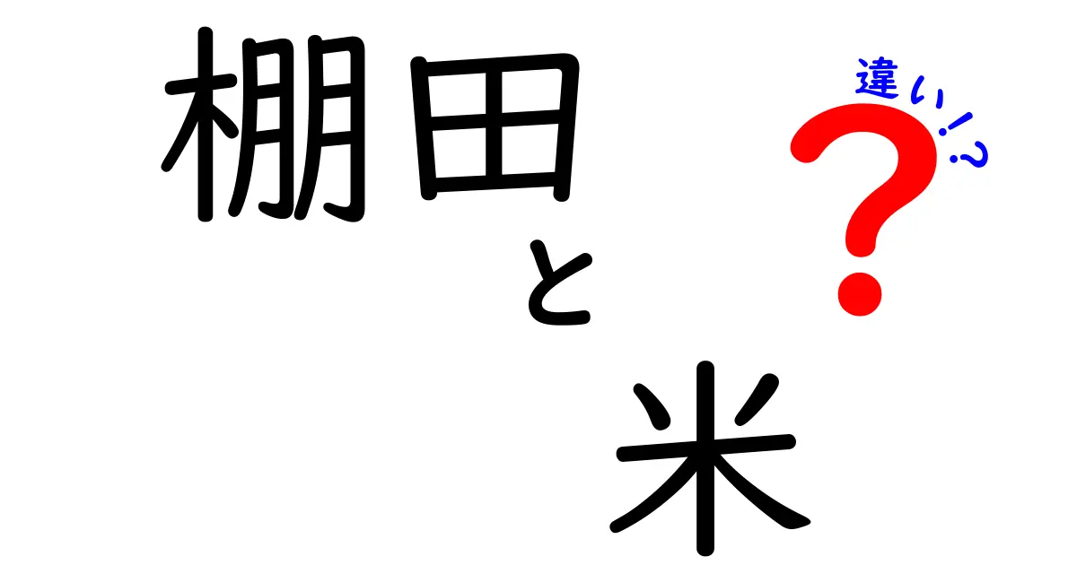 棚田と米の違いを徹底解説：風景・作り方・味わいの三つのポイント
