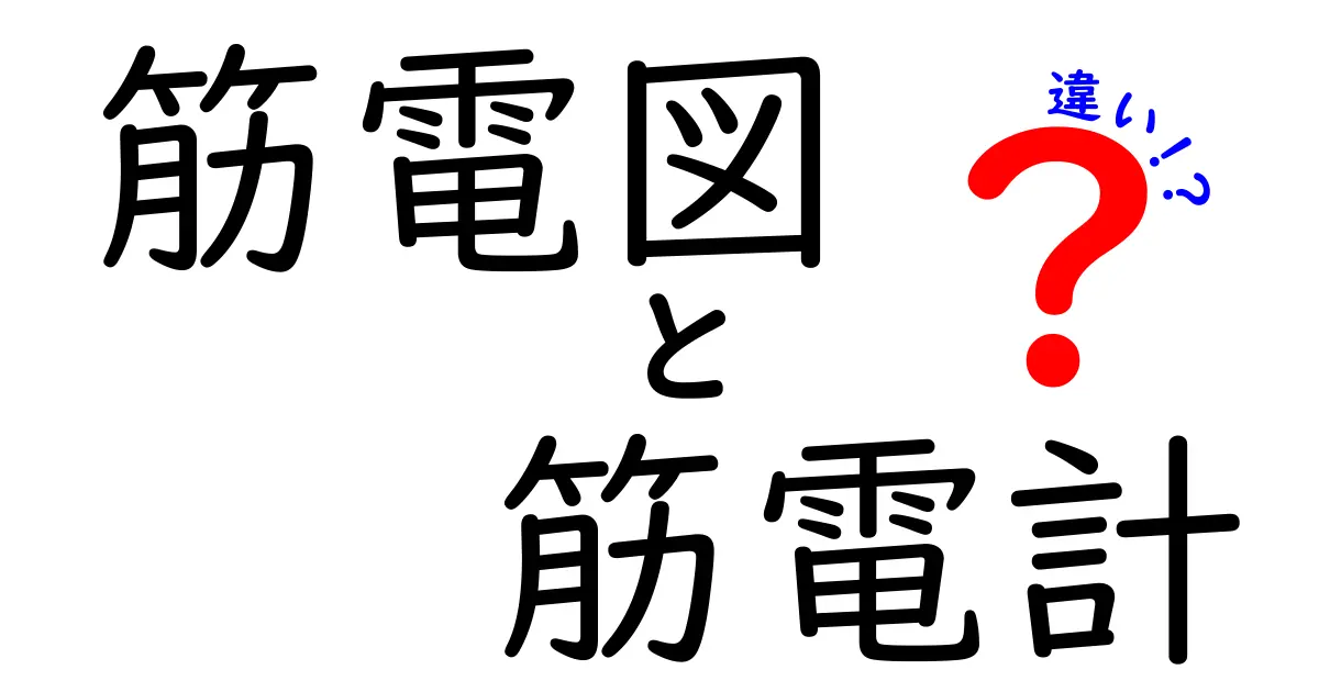 筋電図と筋電計の違いを徹底解説！中学生にもわかる基礎と使い分けのコツ