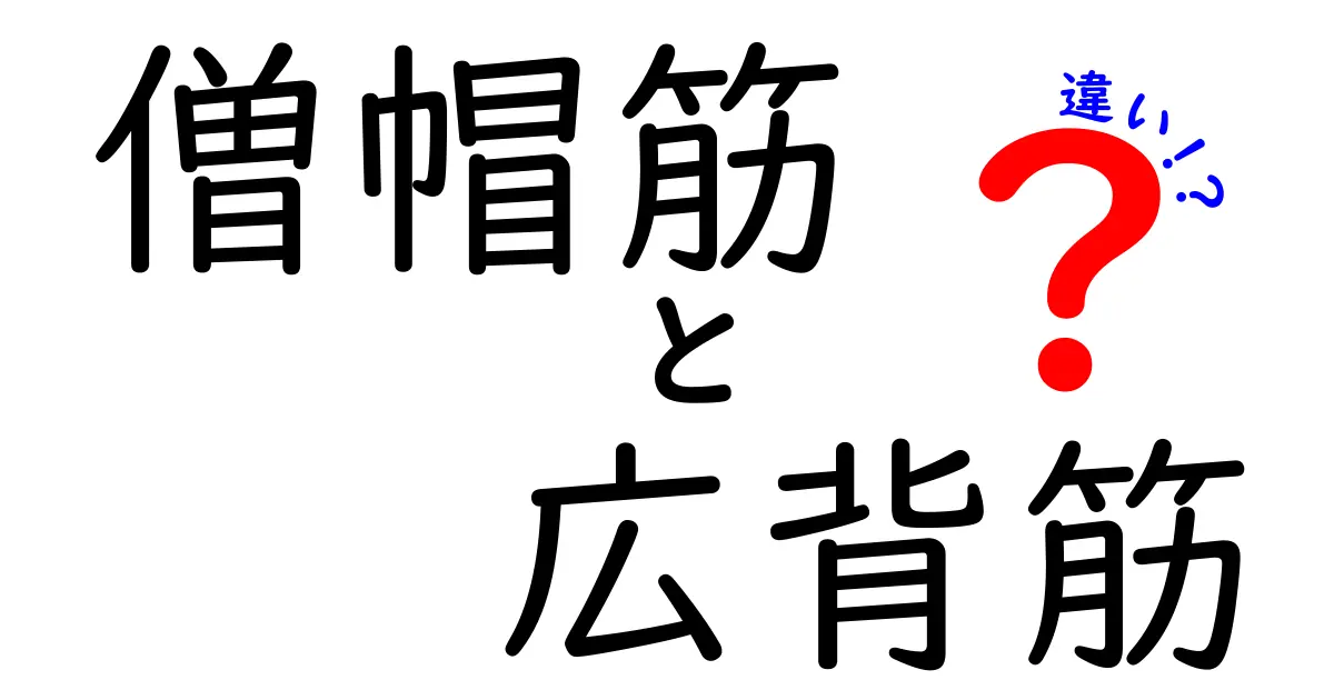 【徹底解説】僧帽筋と広背筋の違いを中学生にもわかる図解つきで解説