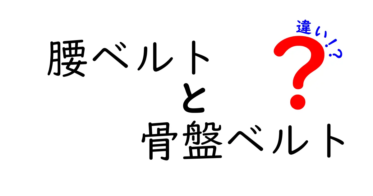 腰ベルトと骨盤ベルトの違いを徹底解説!目的別の選び方と正しい使い方
