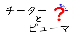 チーターとピューマの違いを徹底解説!速さ・体つき・生態までを中学生にもわかる