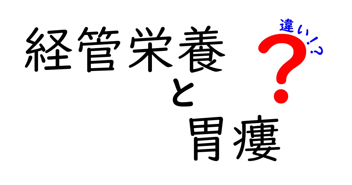 経管栄養と胃瘻の違いを徹底解説！何がどう違うのかをわかりやすく理解するためのガイド