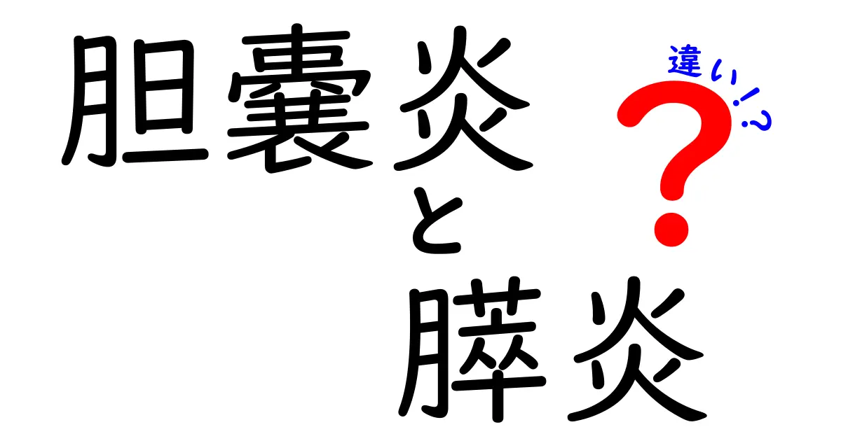 胆嚢炎と膵炎の違いを徹底解説!原因・症状・治療まで中学生にも分かる絵解きガイド