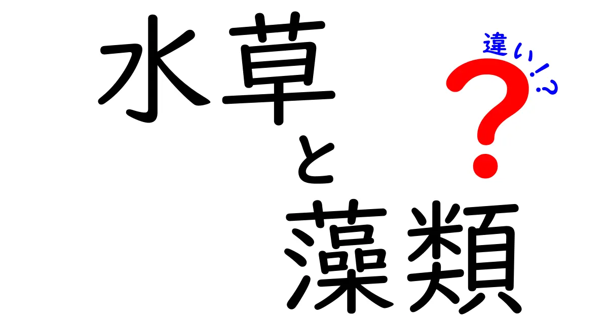 水草と藻類の違いを徹底解説!初心者でもわかる見分け方と育て方のコツ