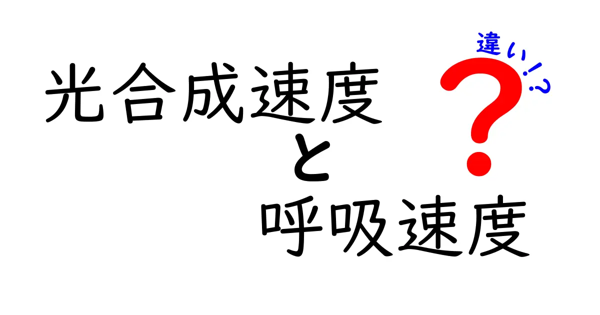 光合成速度と呼吸速度の違いを徹底解説!植物の謎を解く基本ポイント