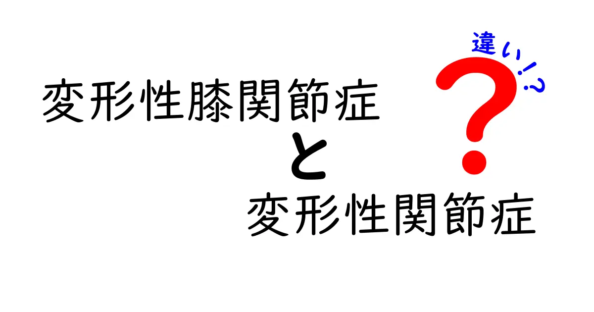 変形性膝関節症と変形性関節症の違いをわかりやすく解説｜中学生にも伝わるポイント