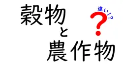 穀物と農作物の違いを徹底解説 中学生にもわかる見分け方と基礎知識