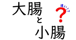 大腸と小腸の違いを徹底解説!しくみと役割をわかりやすく比較
