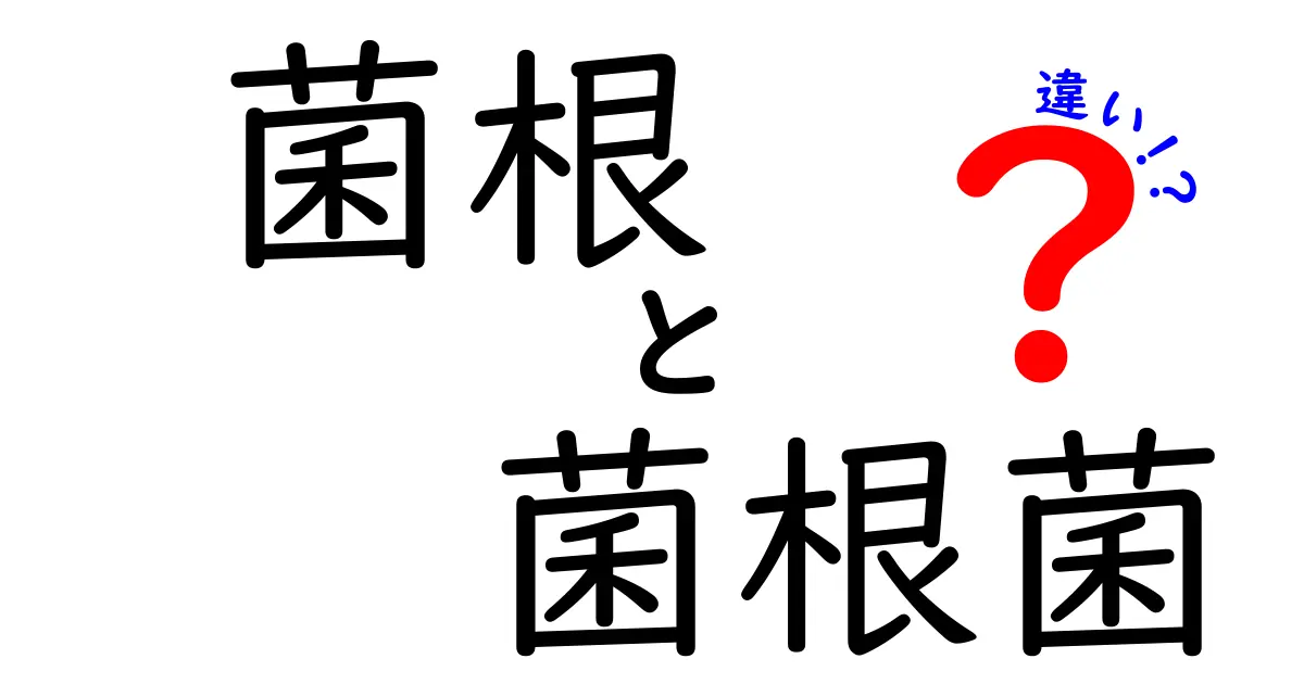菌根と菌根菌の違いをやさしく解説！中学生にも伝わるポイントまとめ
