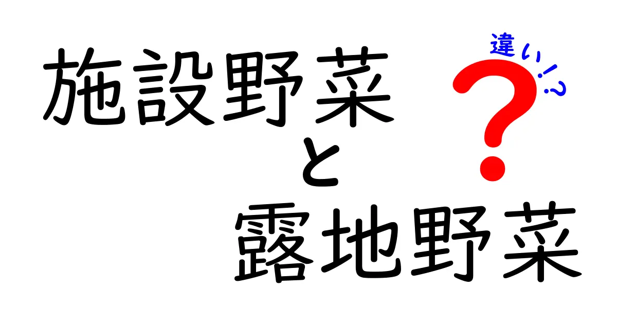 施設野菜と露地野菜の違いを徹底解説!栽培環境から味まで徹底比較して選び方を学ぼう