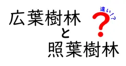 広葉樹林と照葉樹林の違いをわかりやすく解説｜中学生にも伝わる森の基礎