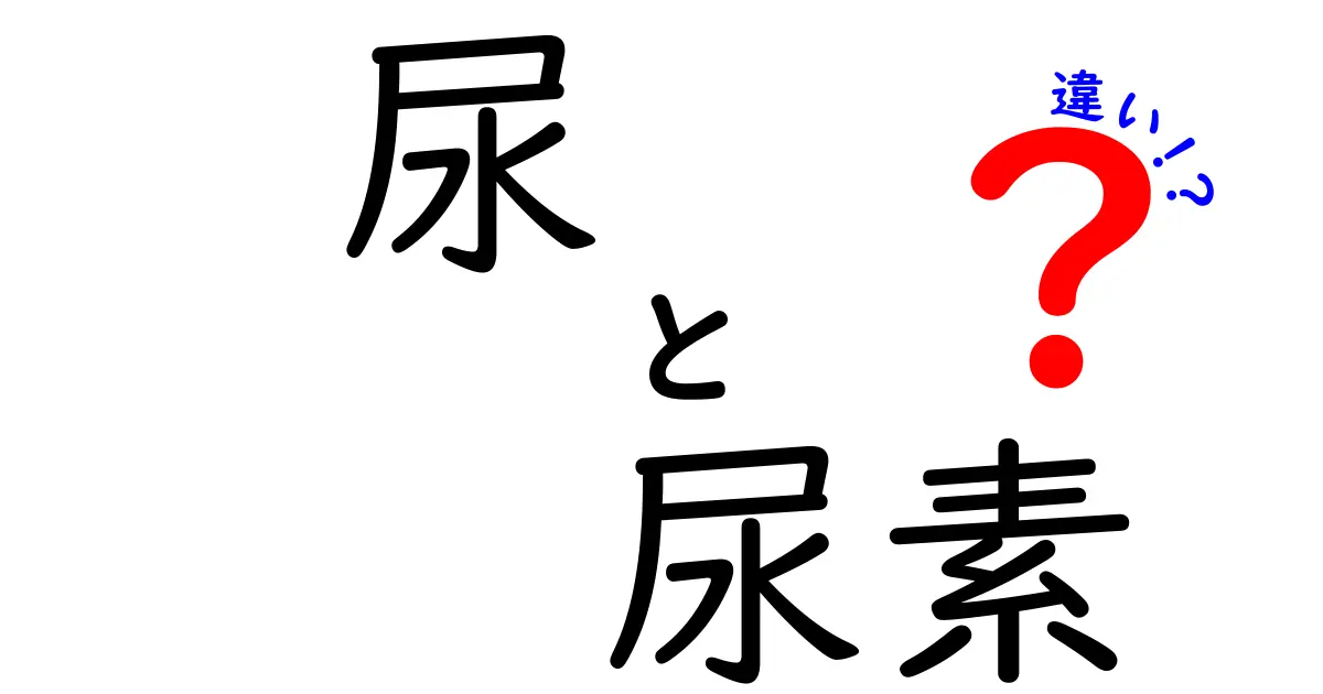 尿と尿素の違いがわかる!中学生にもやさしい解説