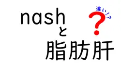 NASHと脂肪肝の違いをぜんぶわかる！NAFLD/NASHの基礎と日常生活への影響をやさしく解説