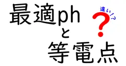 最適pHと等電点の違いをわかりやすく比較解説｜身近な例と実験で学ぶ攻略ガイド