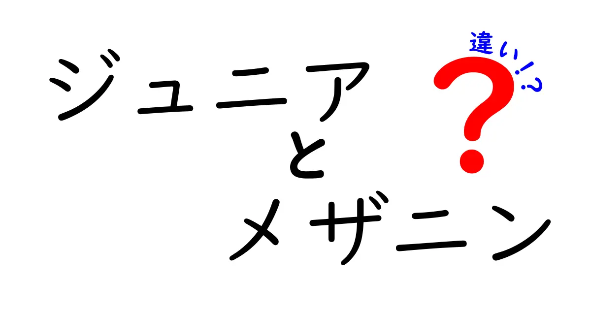 ジュニアとメザニンの違いを徹底解説！初心者にもわかる基礎と実例