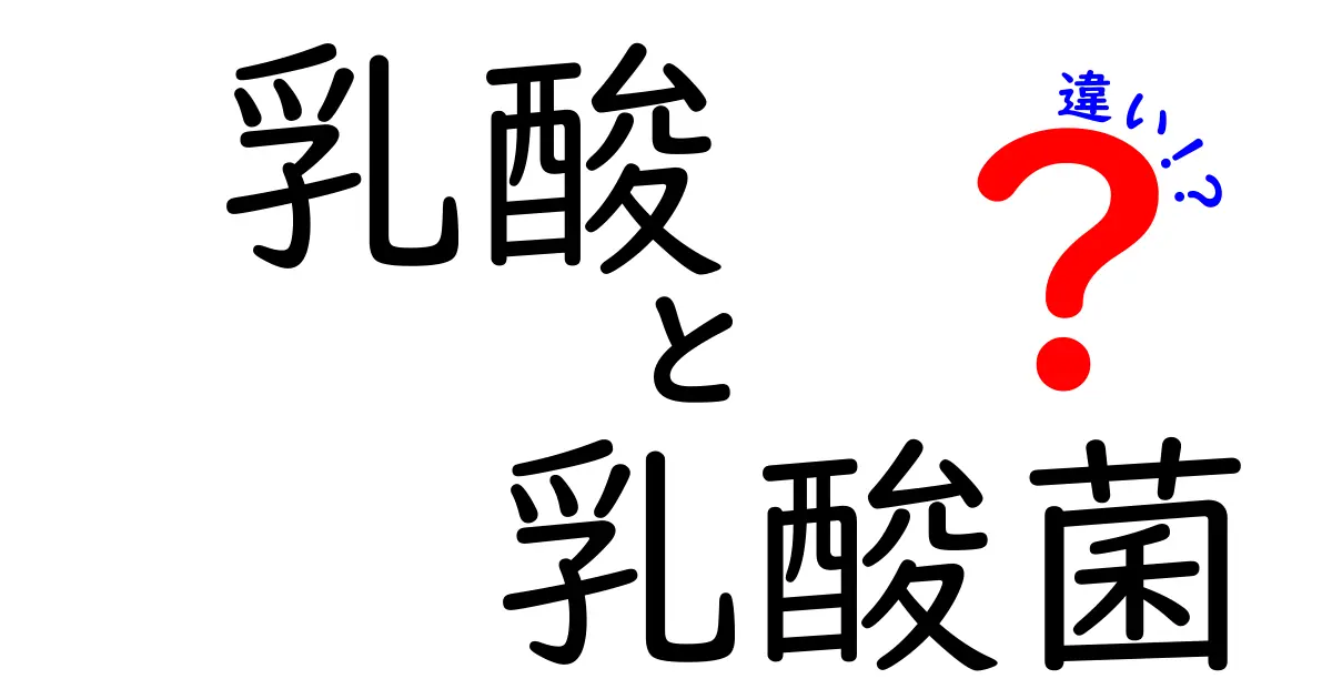 乳酸と乳酸菌の違いを徹底解説!中学生にもわかるやさしい解説とよくある誤解