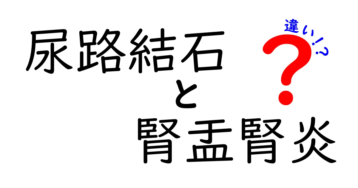 尿路結石と腎盂腎炎の違いを徹底比較:症状・原因・治療のポイント