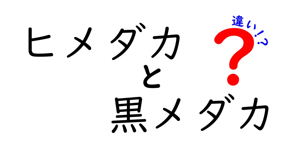 ヒメダカと黒メダカの違いを徹底解説!飼育初心者が知っておくべきポイント