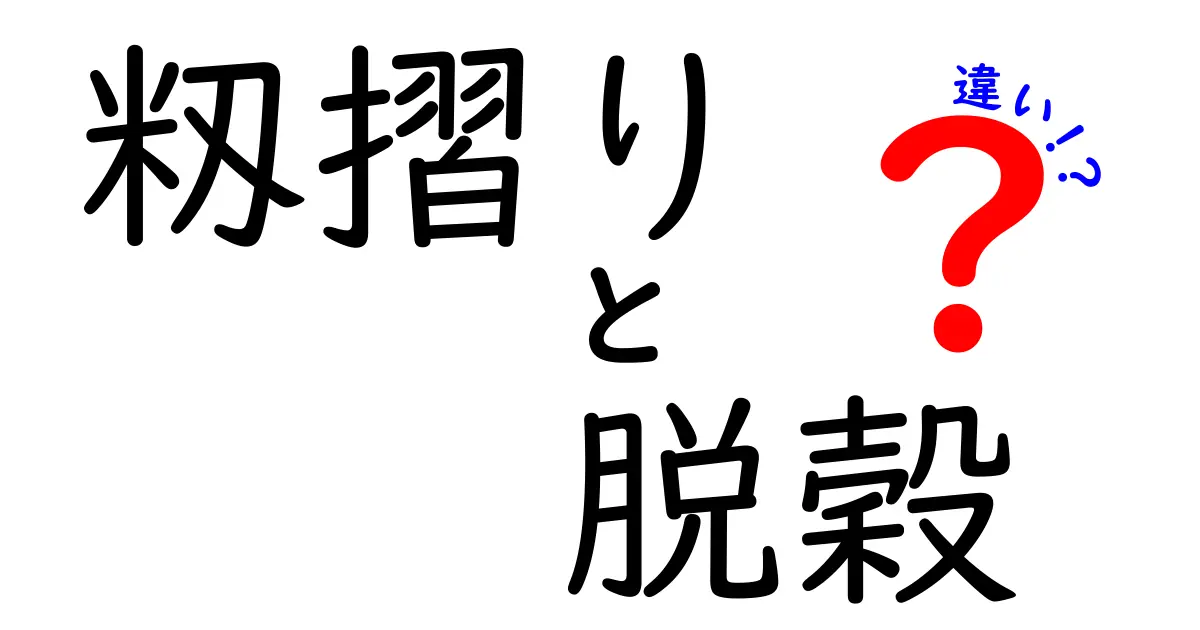 籾摺りと脱穀の違いを徹底解説！米づくり初心者が知っておくべき基礎