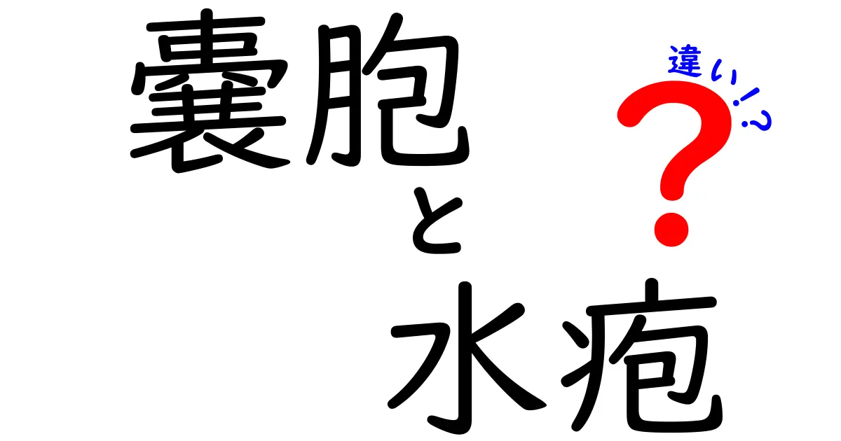 嚢胞と水疱の違いを徹底解説！見分け方とセルフケアを中学生にも分かりやすく
