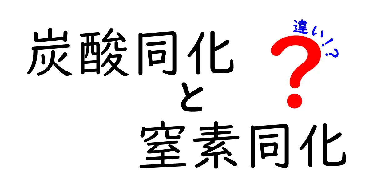 炭酸同化と窒素同化の違いをわかりやすく解説!中学生にも伝わる植物の仕組み