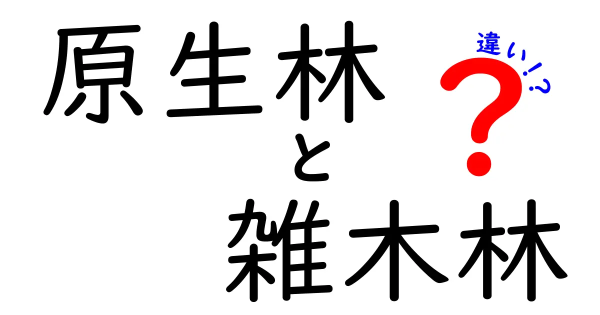 原生林と雑木林の違いを徹底解説!中学生にも伝わる森の基礎知識