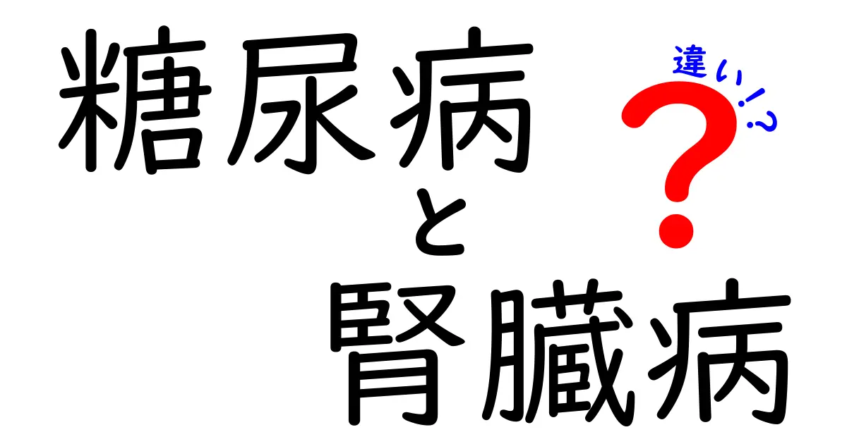 糖尿病と腎臓病の違いを徹底解説！原因・症状・予防・治療を中学生にもわかるやさしい解説