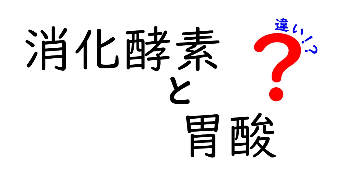 消化酵素と胃酸の違いを徹底解説!中学生にもわかるやさしいガイド