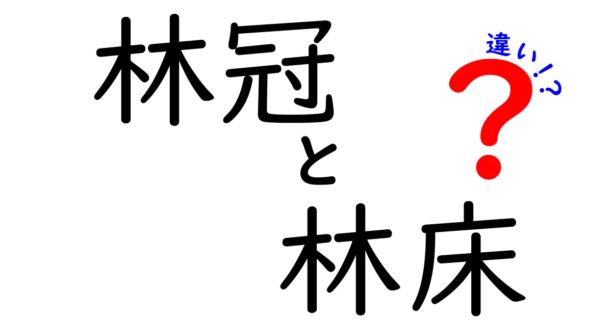 林冠と林床の違いを徹底解説!森の上と下で生まれる命と役割