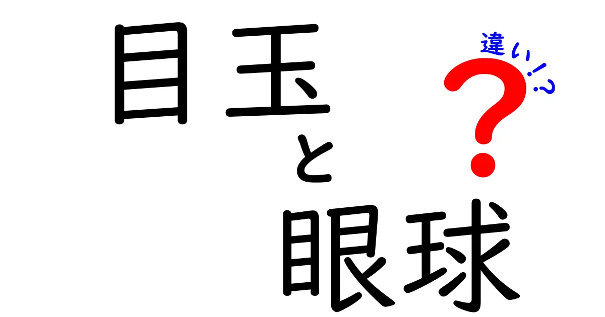目玉と眼球の違いをわかりやすく解説!正しい言い方と理解のポイント