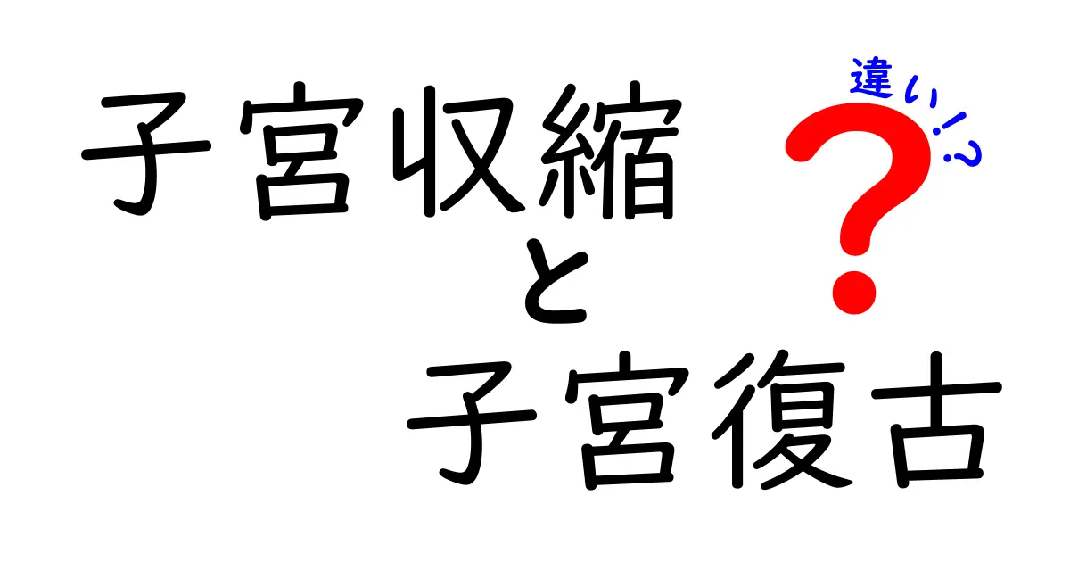 子宮収縮と子宮復古の違いを徹底解説!なぜ別物なのかをやさしく理解する