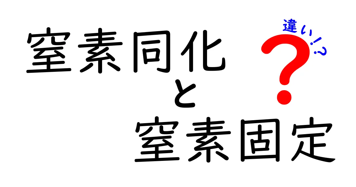 窒素同化と窒素固定の違いを徹底解説!中学生にも分かるポイントを一発で整理