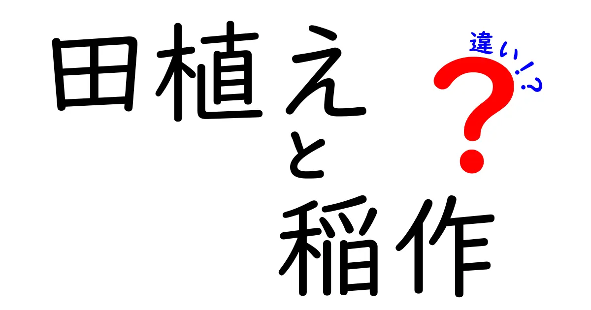 田植えと稲作の違いを徹底解説｜田んぼの季節が見えるシンプル解説
