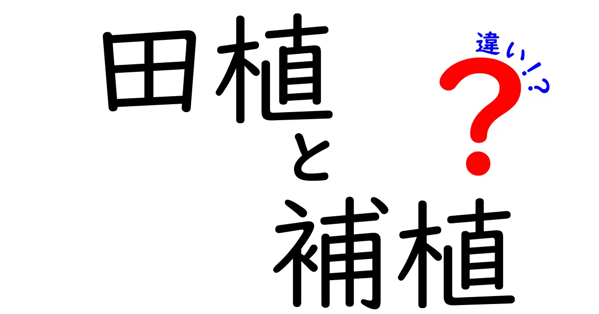 田植と補植の違いを徹底解説 田んぼの作業を理解する基礎ガイド
