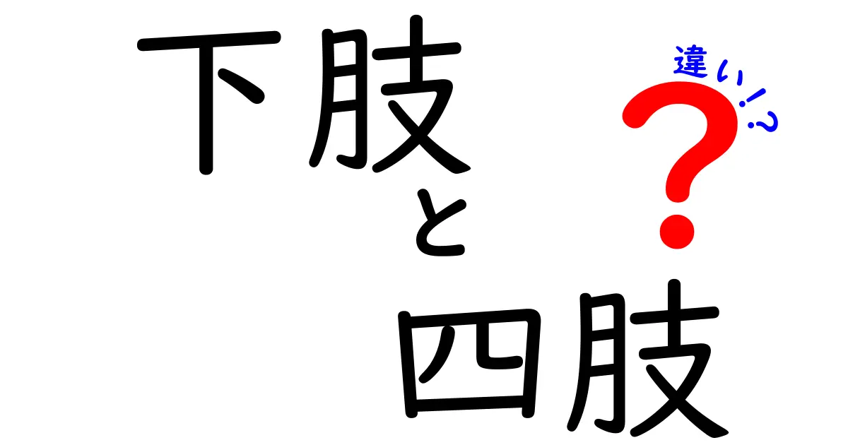 下肢と四肢の違いを徹底解説!中学生にも伝わる易しいポイントと使い分けのコツ