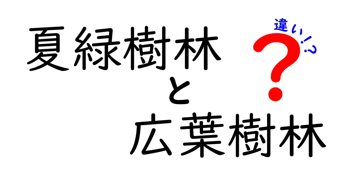 夏緑樹林と広葉樹林の違いを徹底解説!地域と季節で変わる森の秘密