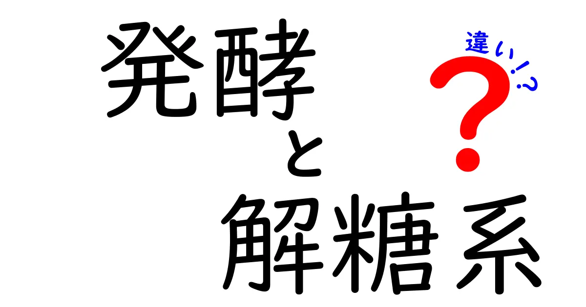 発酵と解糖系の違いを分かりやすく徹底解説!中学生でもわかる生物の仕組み
