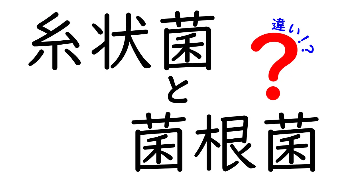 糸状菌と菌根菌の違いを徹底解説!中学生にも伝わるやさしいポイント