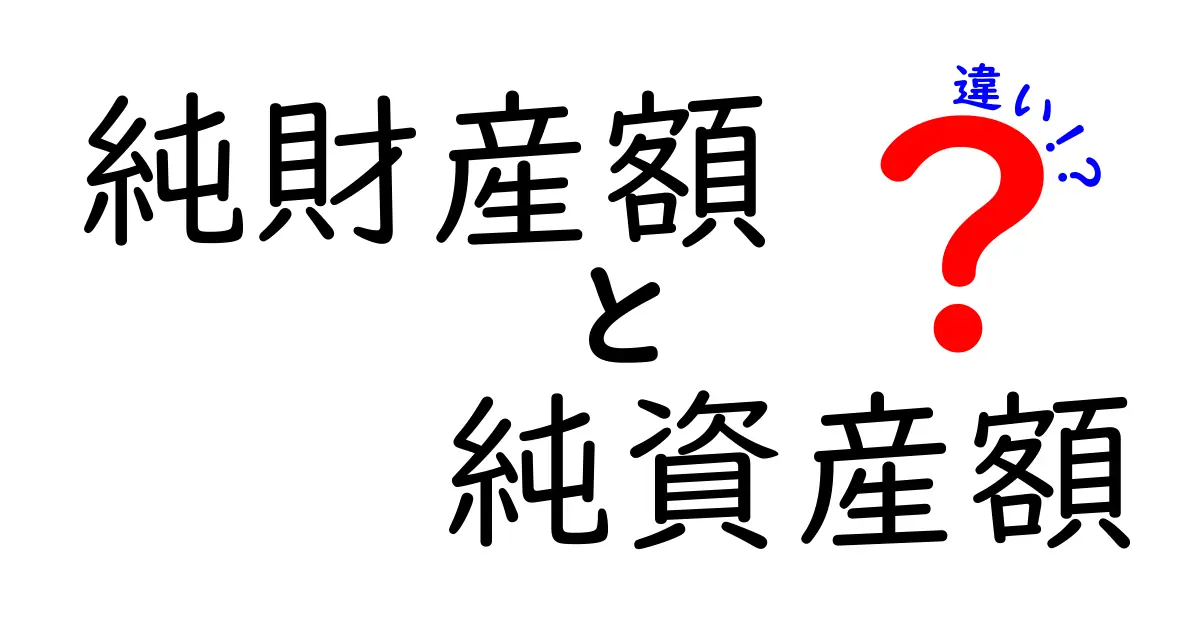 純財産額と純資産額の違いを徹底解説！中学生でも分かる3つのポイントと実践的な計算例