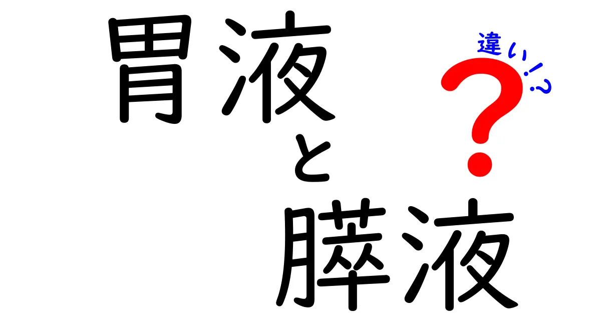 胃液と膵液の違いを完全解説!消化の第一歩と第二歩をわかりやすく見分ける方法