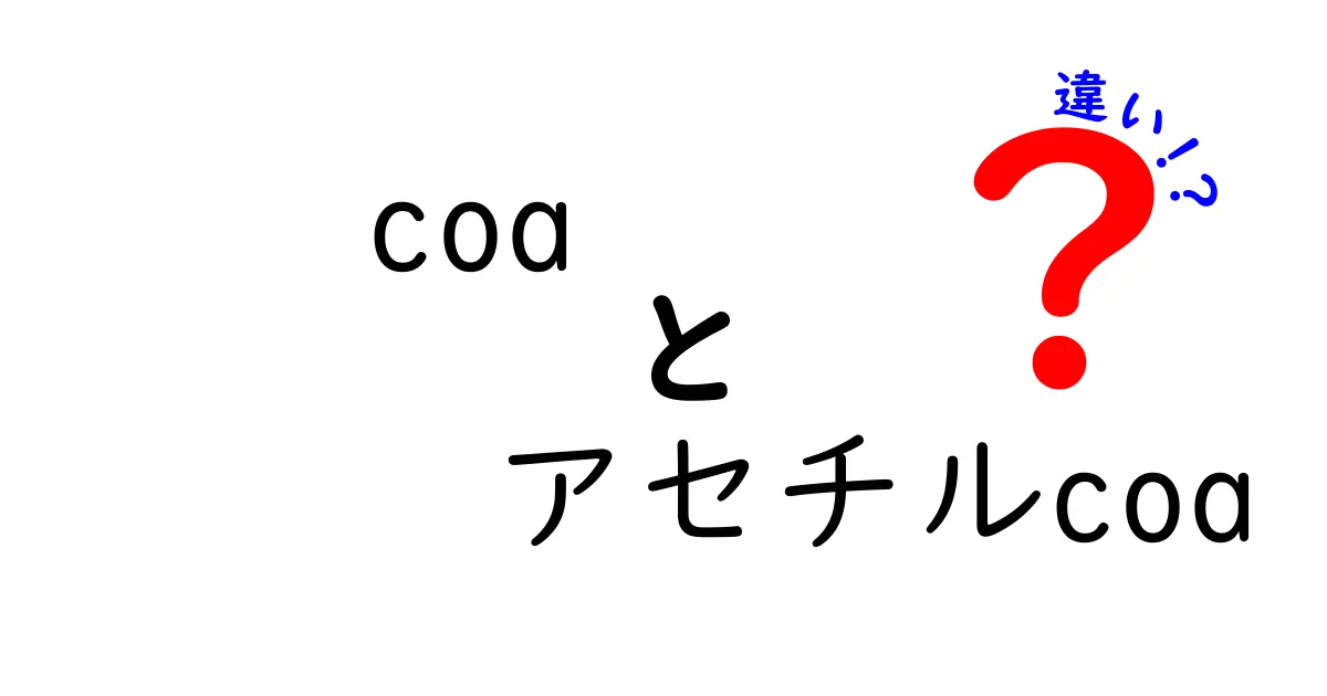 coa アセチルcoa 違いを完全に解説|CoAとアセチルCoAの違いを中学生にもわかるように